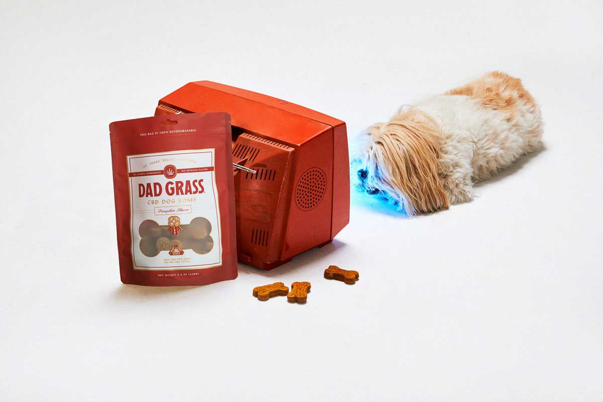 Dad Grass CBD Dog Bones Best Price