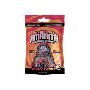 Galaxy Treats Merry Mushroom Bundle Best Price