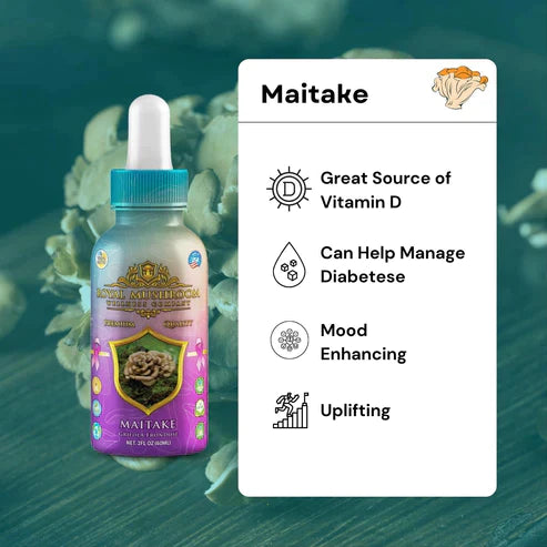 Royal Mushroom Maitake Mushroom Oil Tincture 60ml Best Price