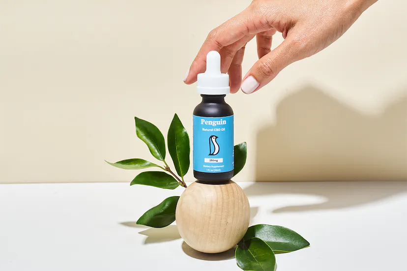 Penguin CBD Oil Best Price