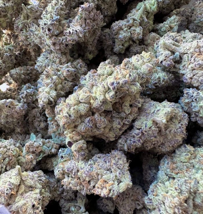 Bloomz | Gold Line THC-A Flower 3.5g - 7g Best Price