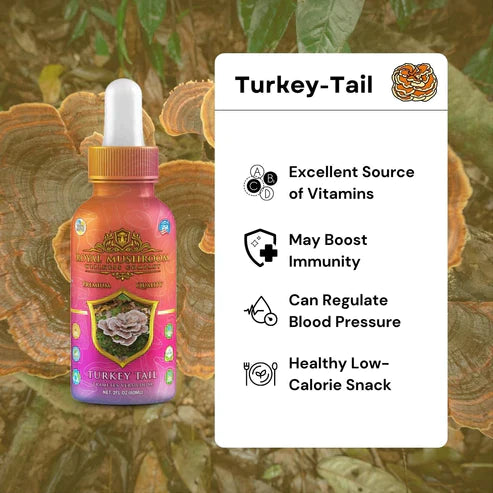 Royal Mushroom Mushroom Oil Tincture 60ml Best Price