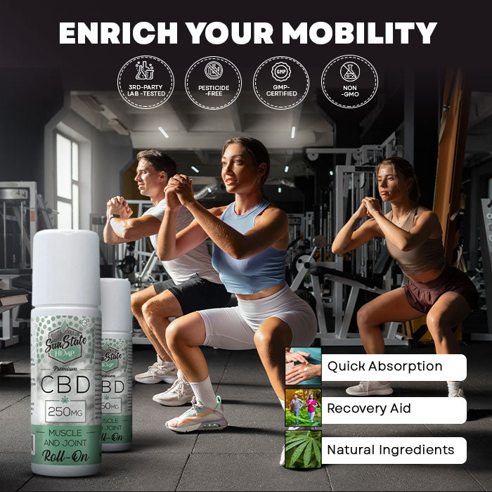 Sun State CBD Roll-On Muscle and Joint Cream Best Price