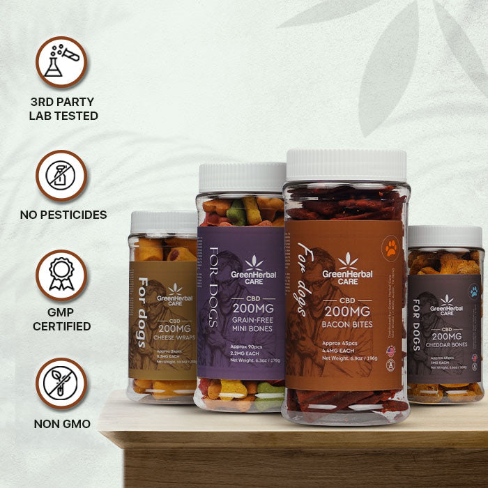 Green Herbal Care GHC CBD Dog Treats Best Price