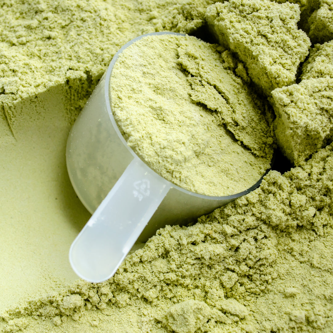 The Trusted Lab Daily Scoop Fitness Greens Best Price