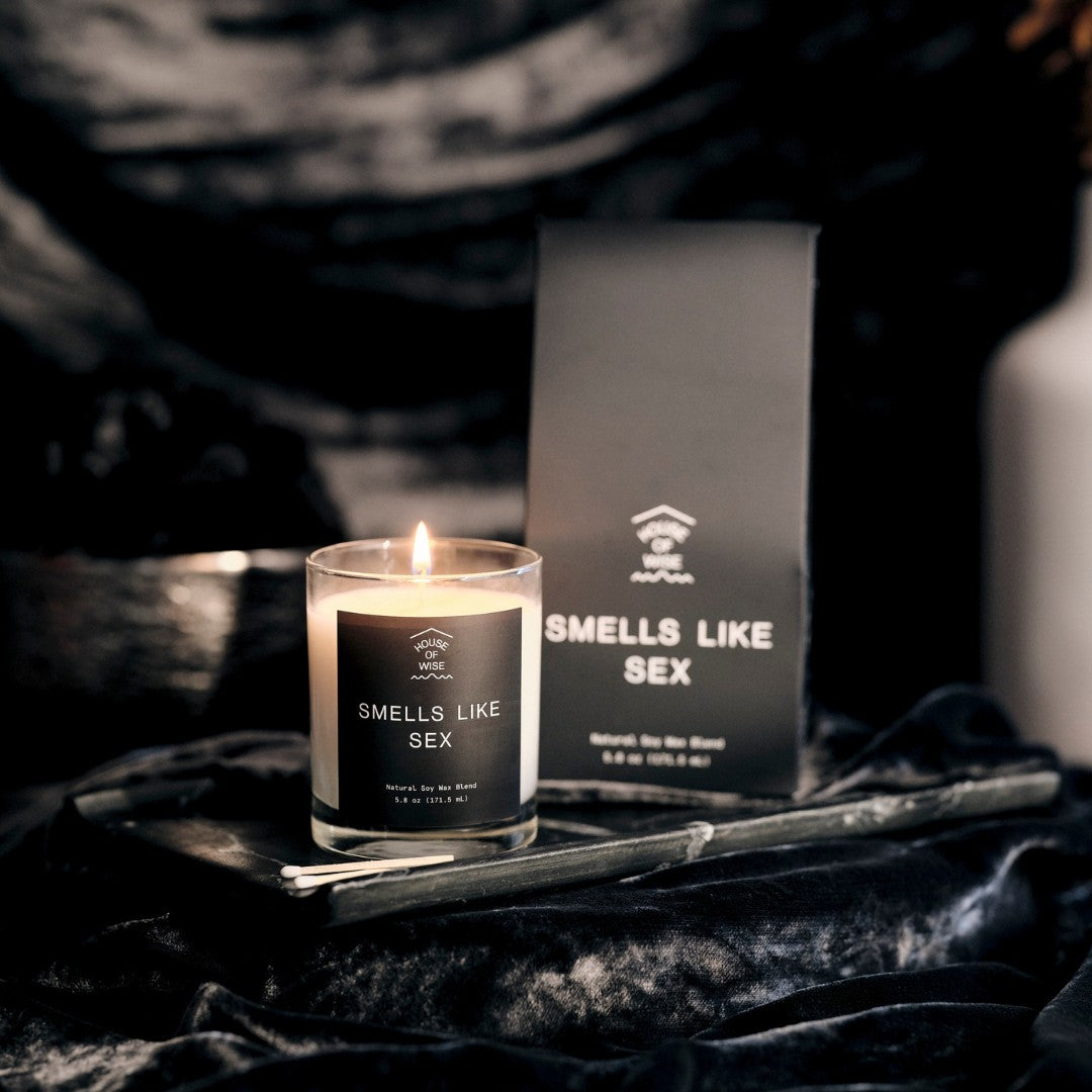 House of Wise Smells Like Sex Candle (5.8oz) Best Price