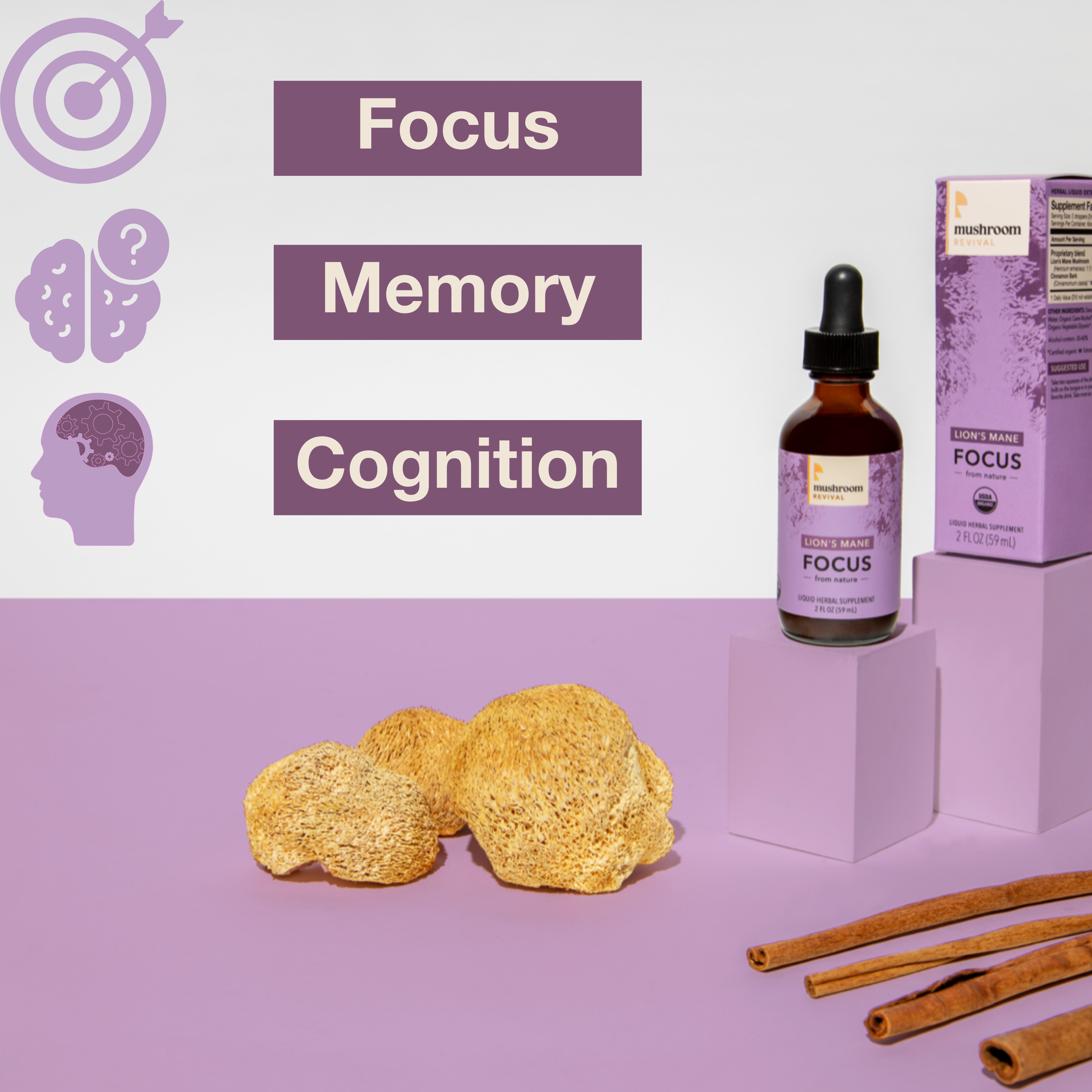 Mushroom Revival Focus Lion's Mane Tincture