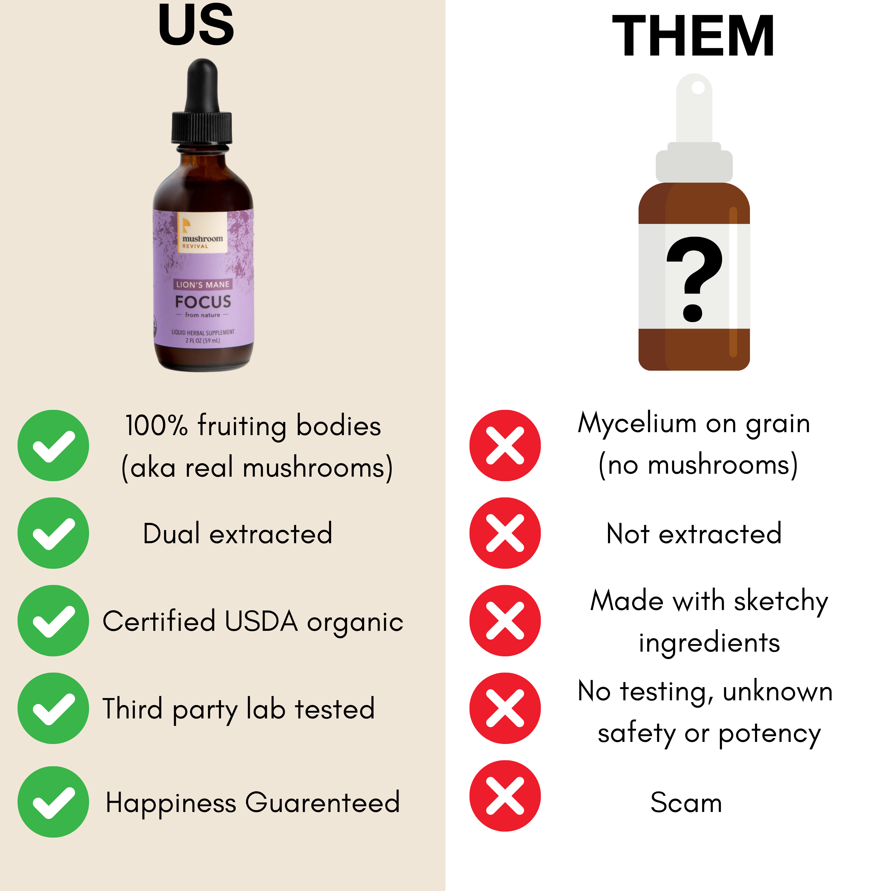 Mushroom Revival Focus Lion's Mane Tincture