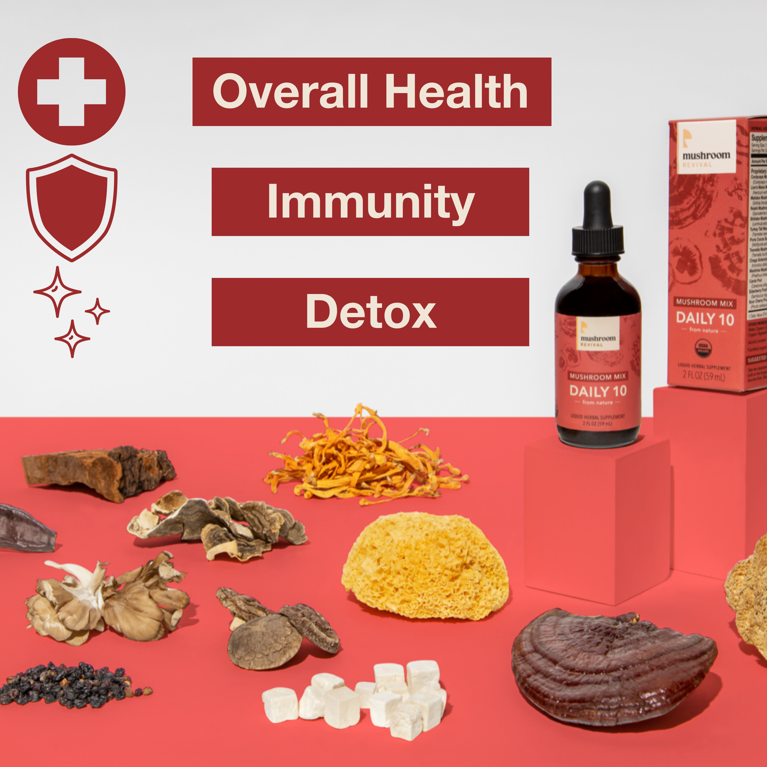 Mushroom Revival Daily 10 Mix Mushroom Tincture