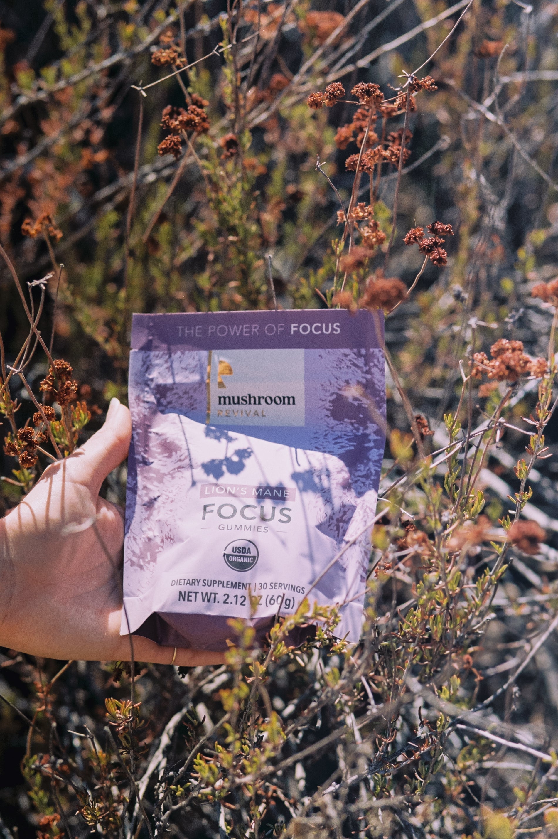Mushroom Revival Focused & Healthy Gummies