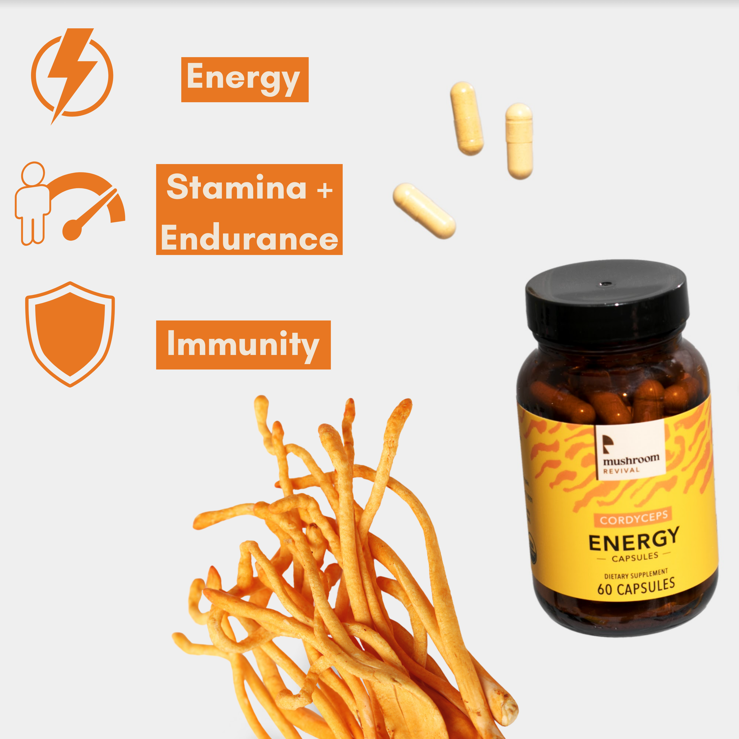 Mushroom Revival Energy Cordyceps Capsules