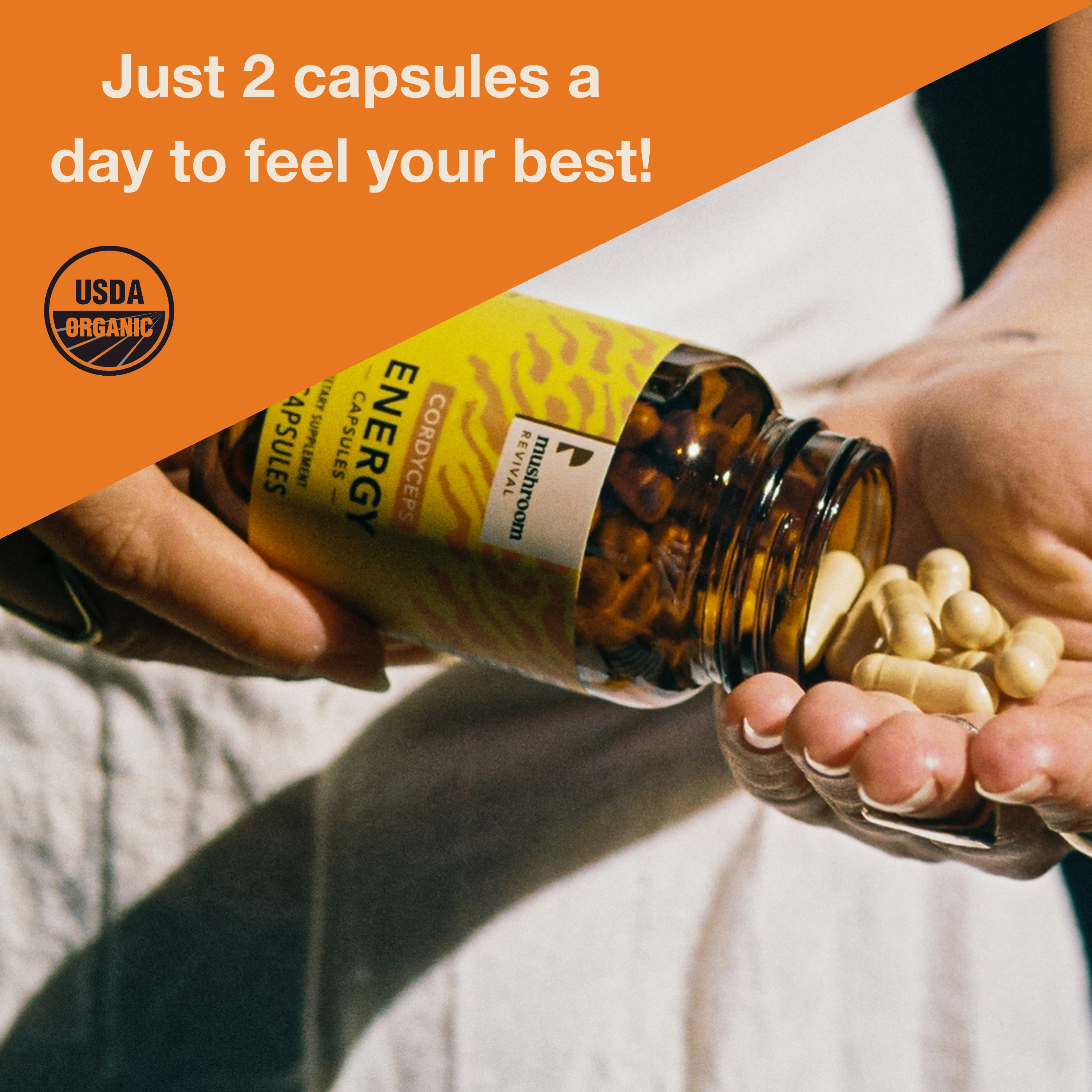 Mushroom Revival Energy Cordyceps Capsules