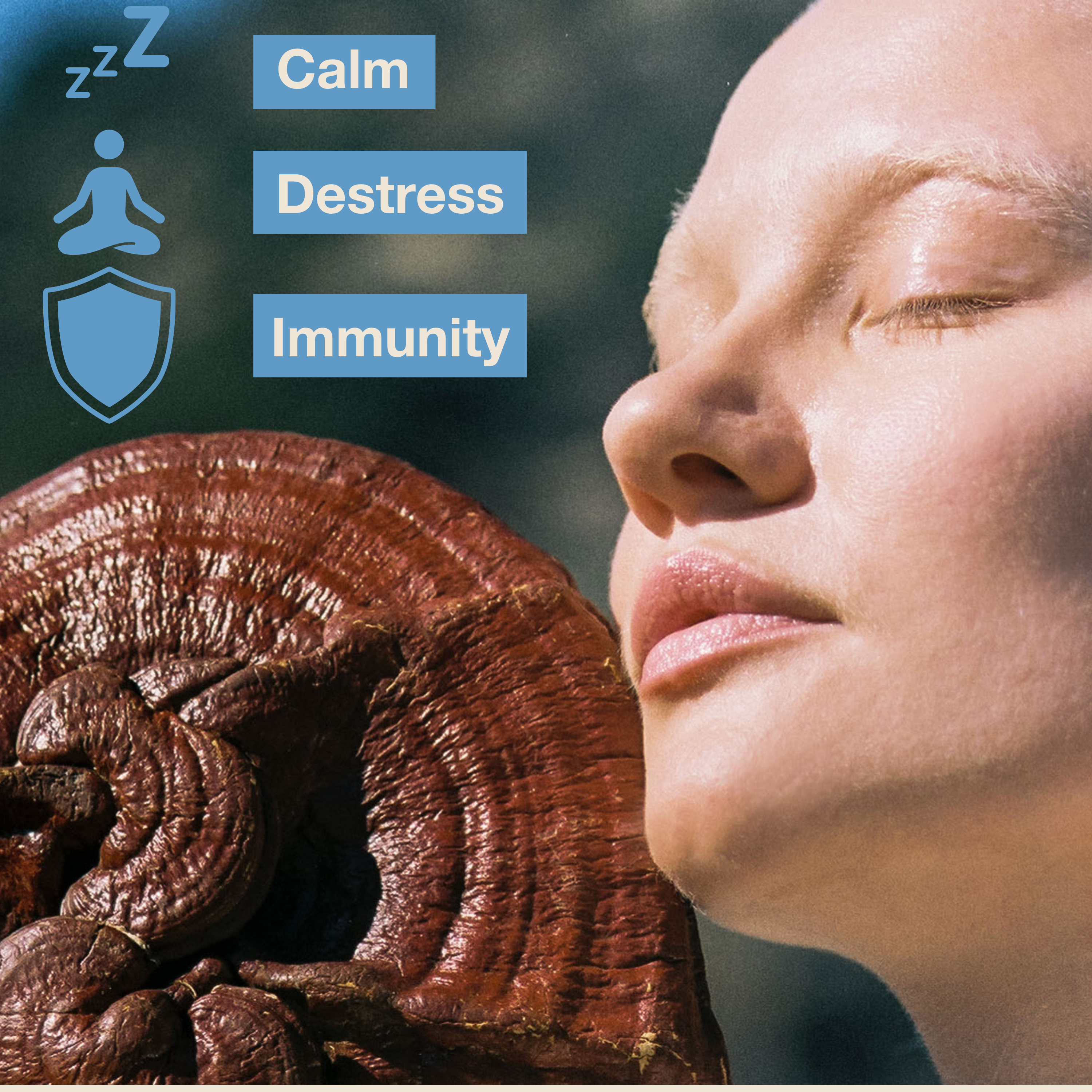 Mushroom Revival Calm Reishi Mushroom Capsules