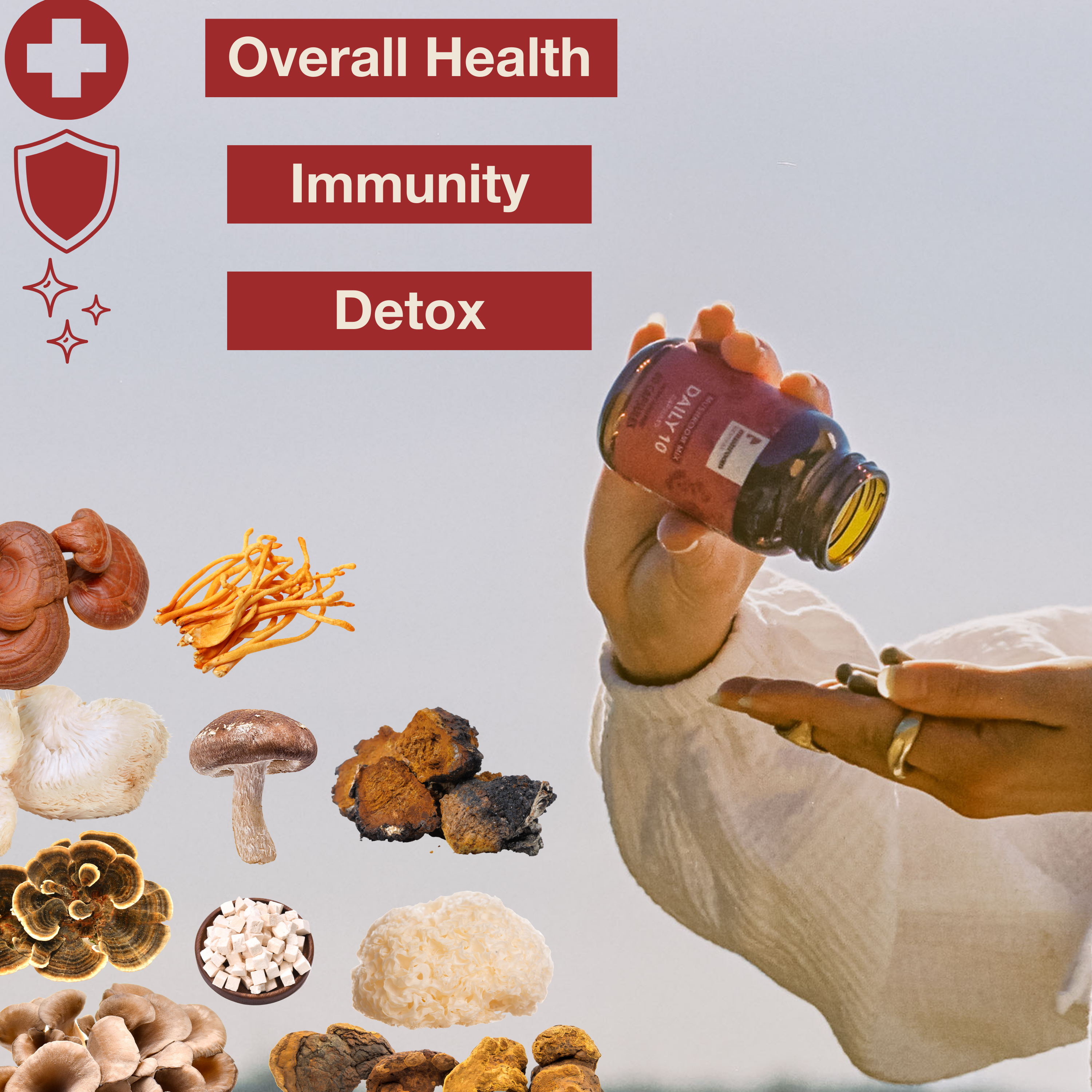 Mushroom Revival Daily 10 Mix Mushroom Capsules