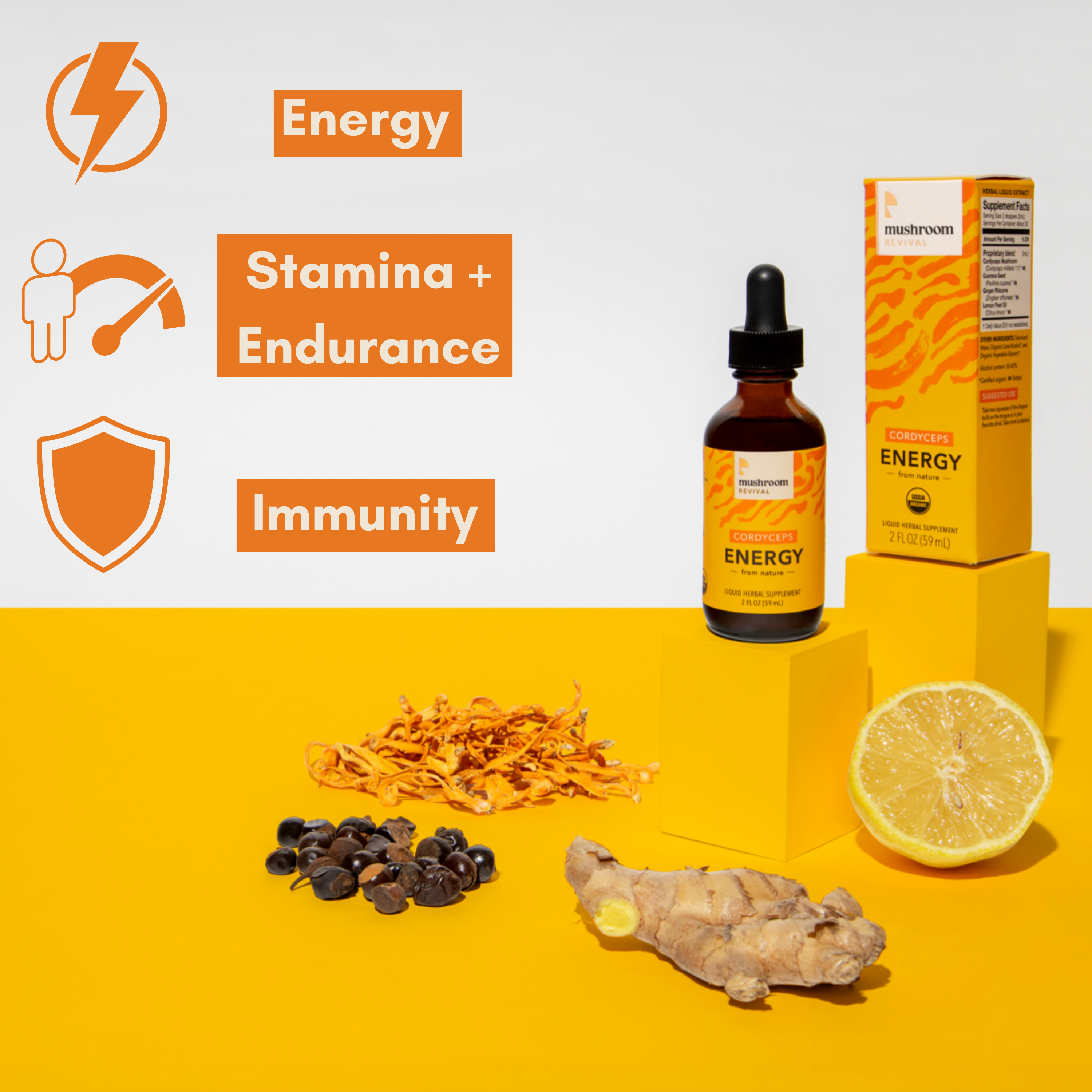 Mushroom Revival Energy Cordyceps Tincture