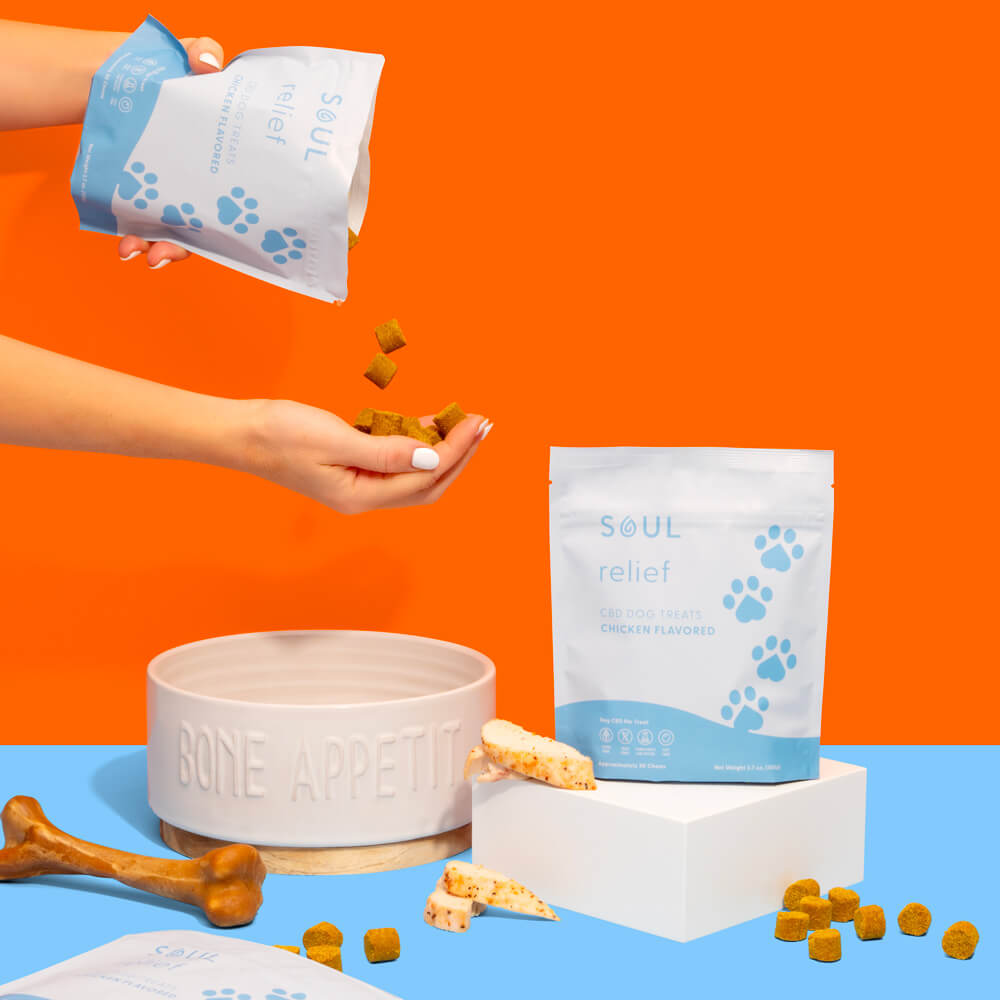 Soul CBD Relief CBD Dog Treats
