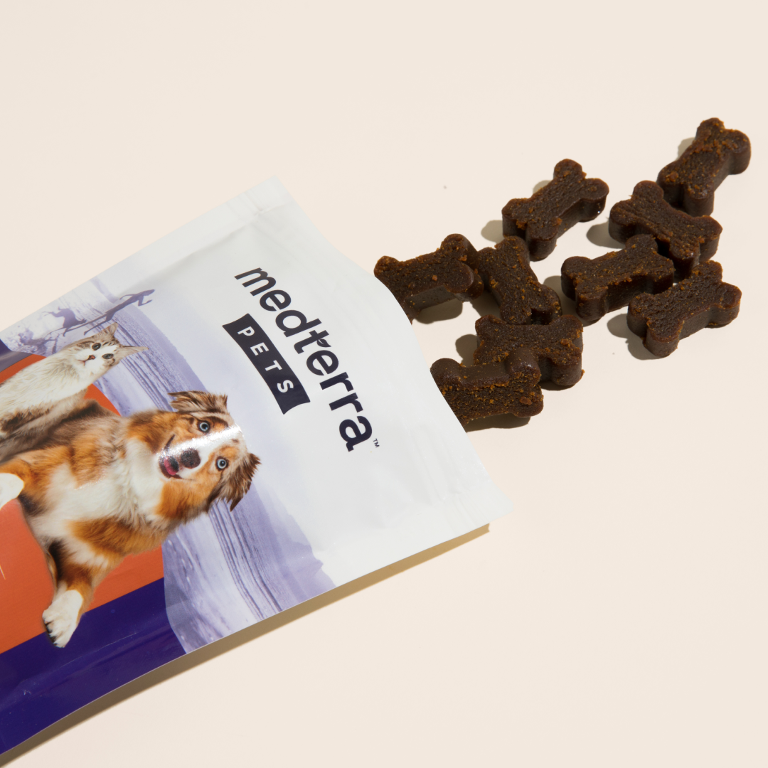 Medterra Pet CBD Joint Support Chews