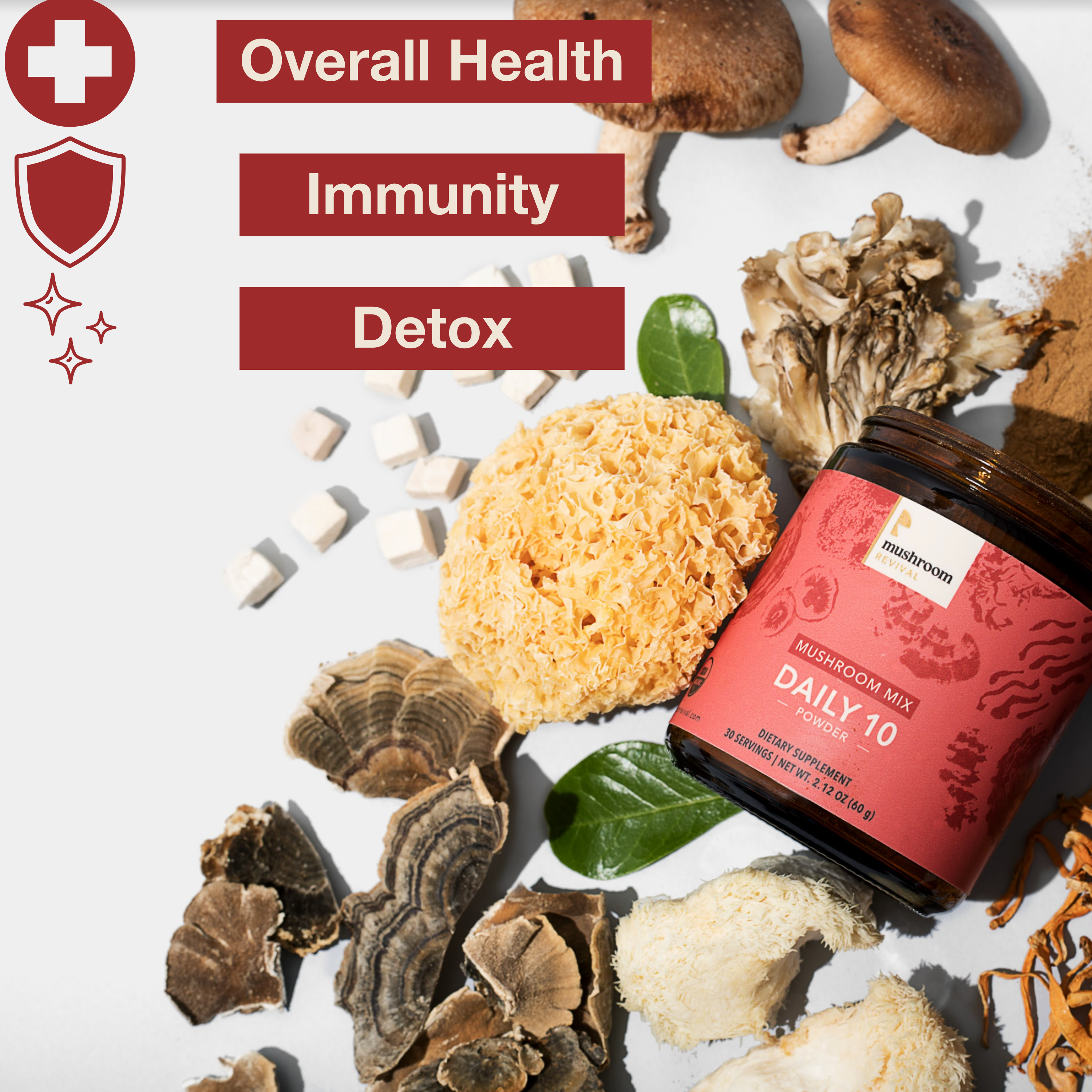 Mushroom Revival Daily 10 Mushroom Blend Powder