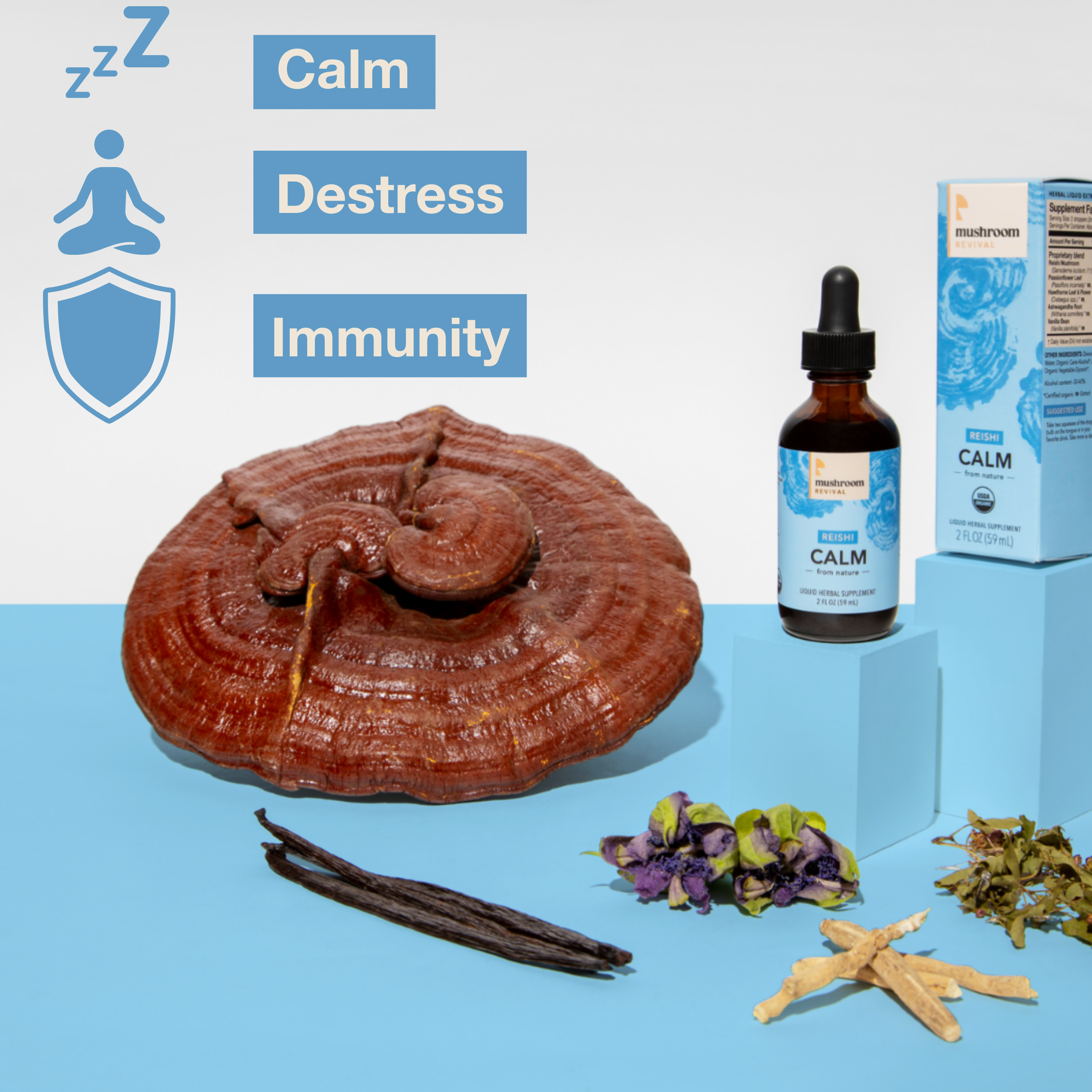 Mushroom Revival Calm Reishi Tincture