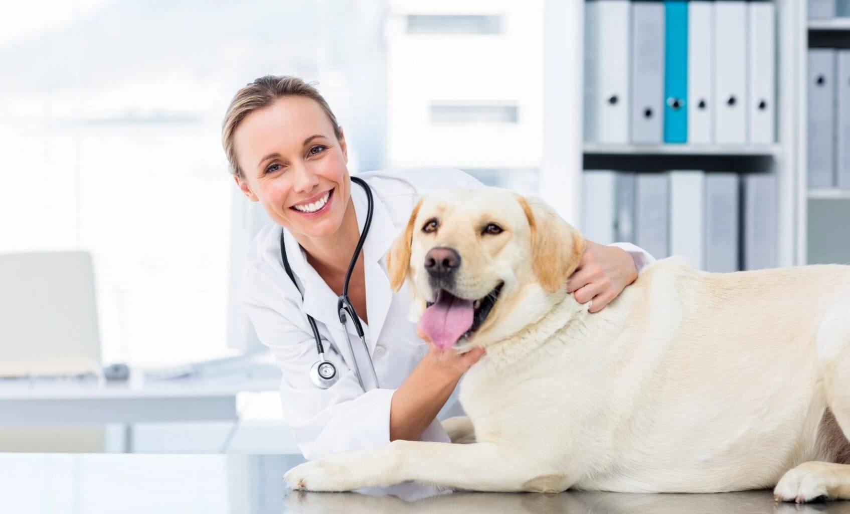Mission Farms Pet CBD Oil