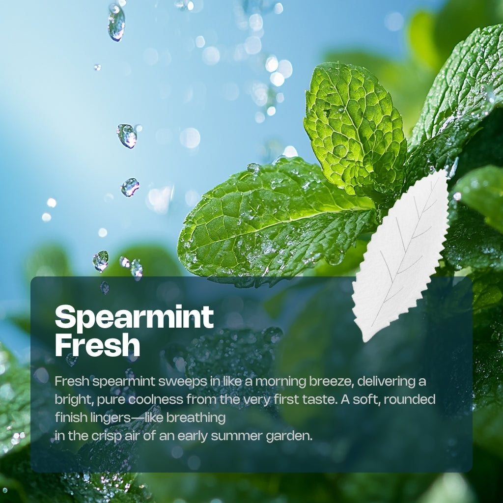 RELX AirPouch | Nicotine Pouch