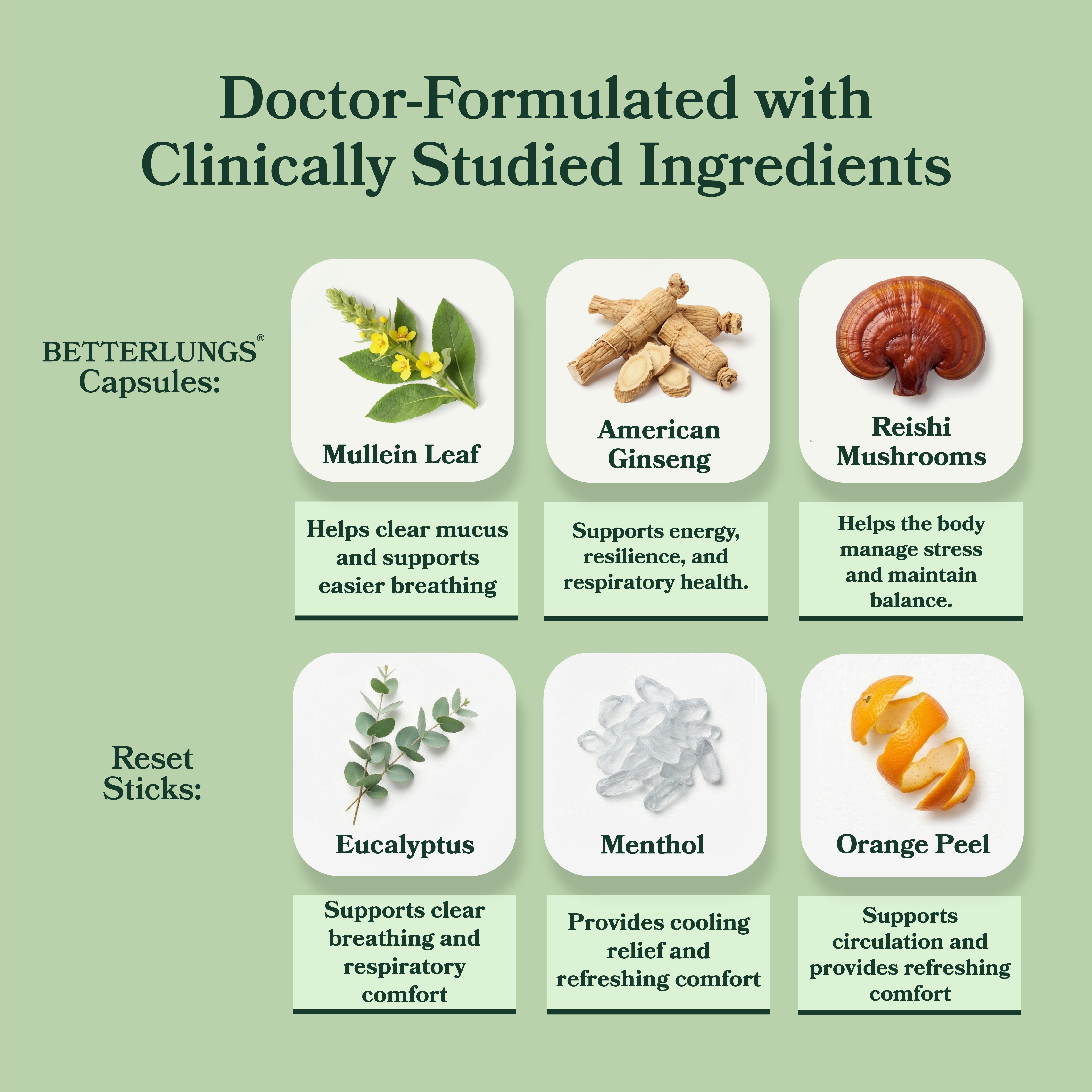 BetterBrand Allergy Relief Protocol