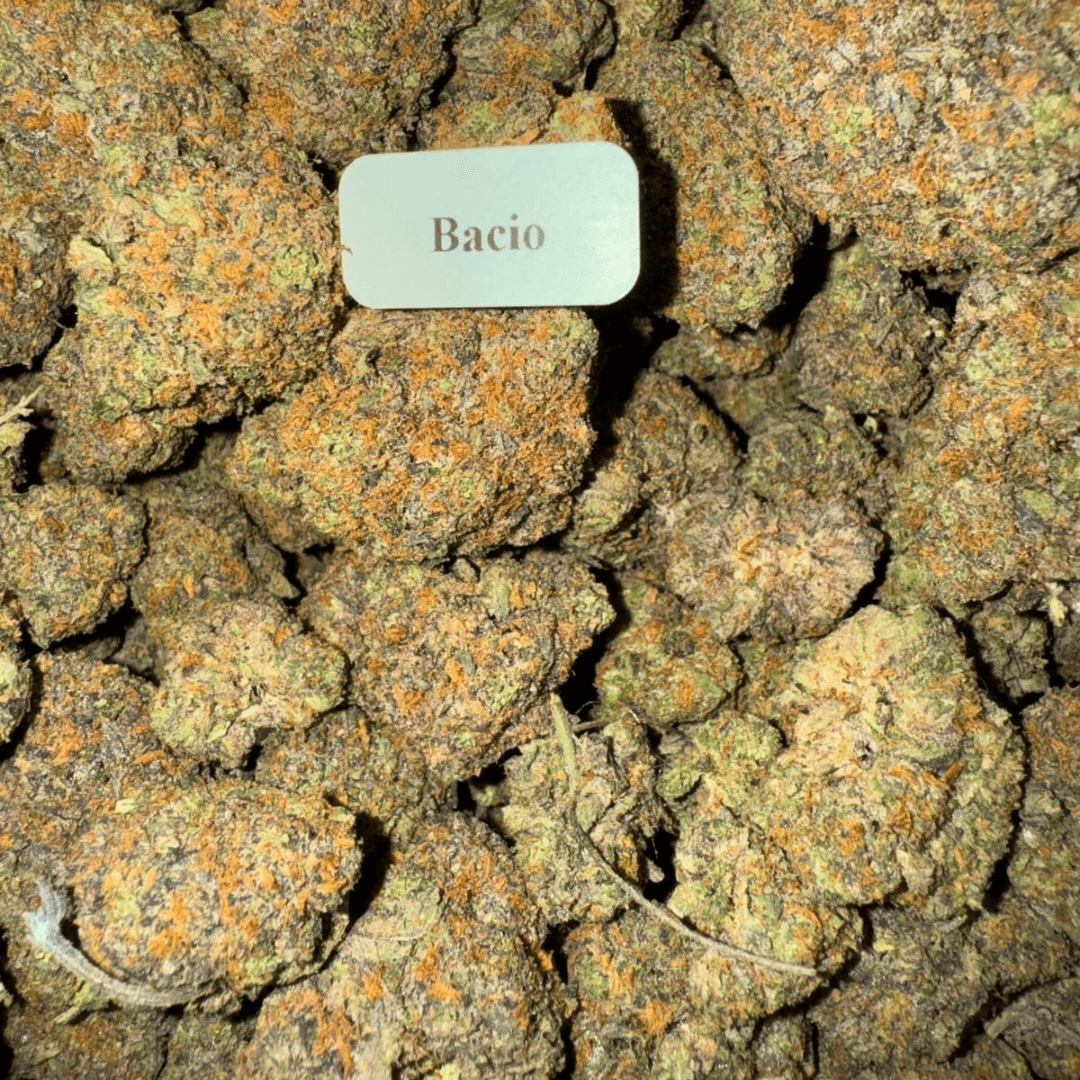 Bloomz Blazed Exotic THCA Flower Best Price