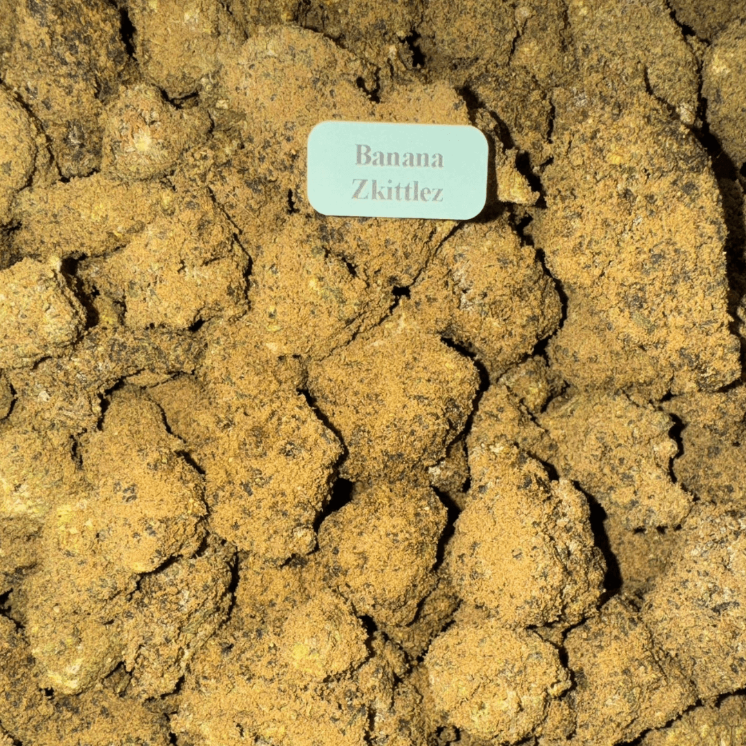 Bloomz THCA Moonrocks – Gold Line Best Price