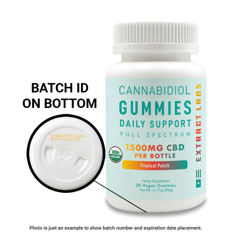 Extract Labs Organic CBD Gummies | Daily Support | Tropical Punch