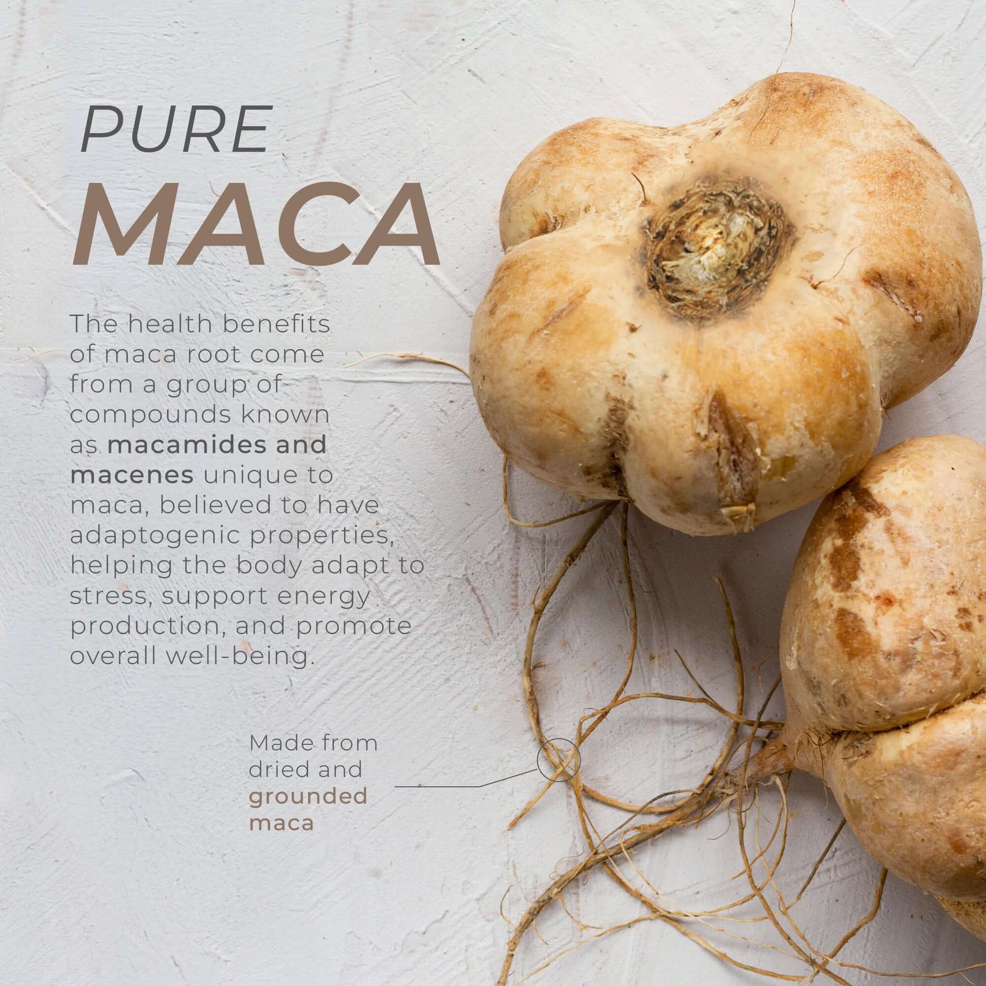 Neurogan Health Maca Root Capsules