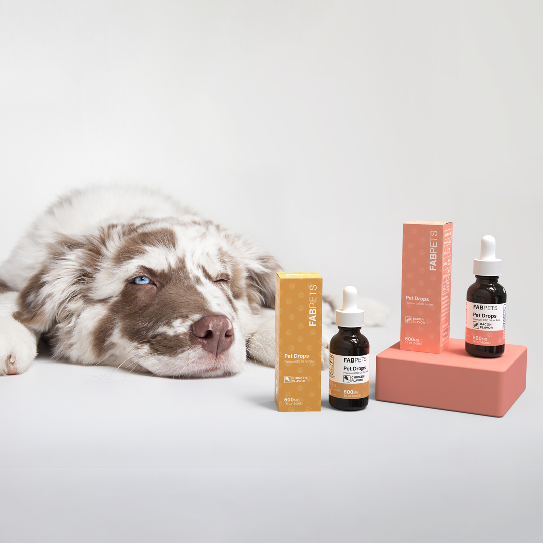 FAB CBD Pet Wellness Bundle