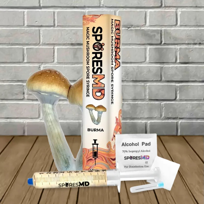 Burma Spores MD Syringe 10ml