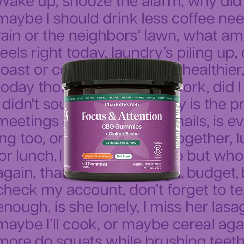 Charlotte's Web Focus & Attention CBG Gummy