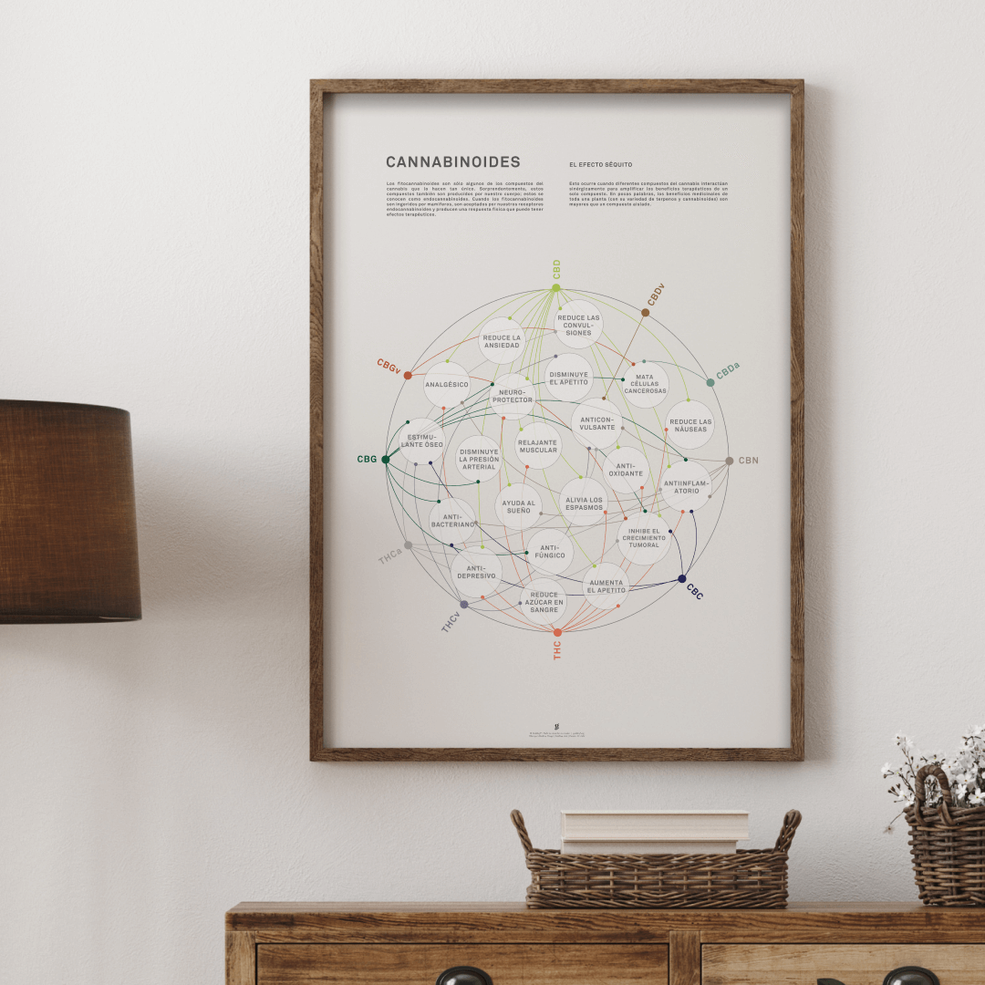 GoldLeaf La Matriz de Salud Cannabinoides Impresíon