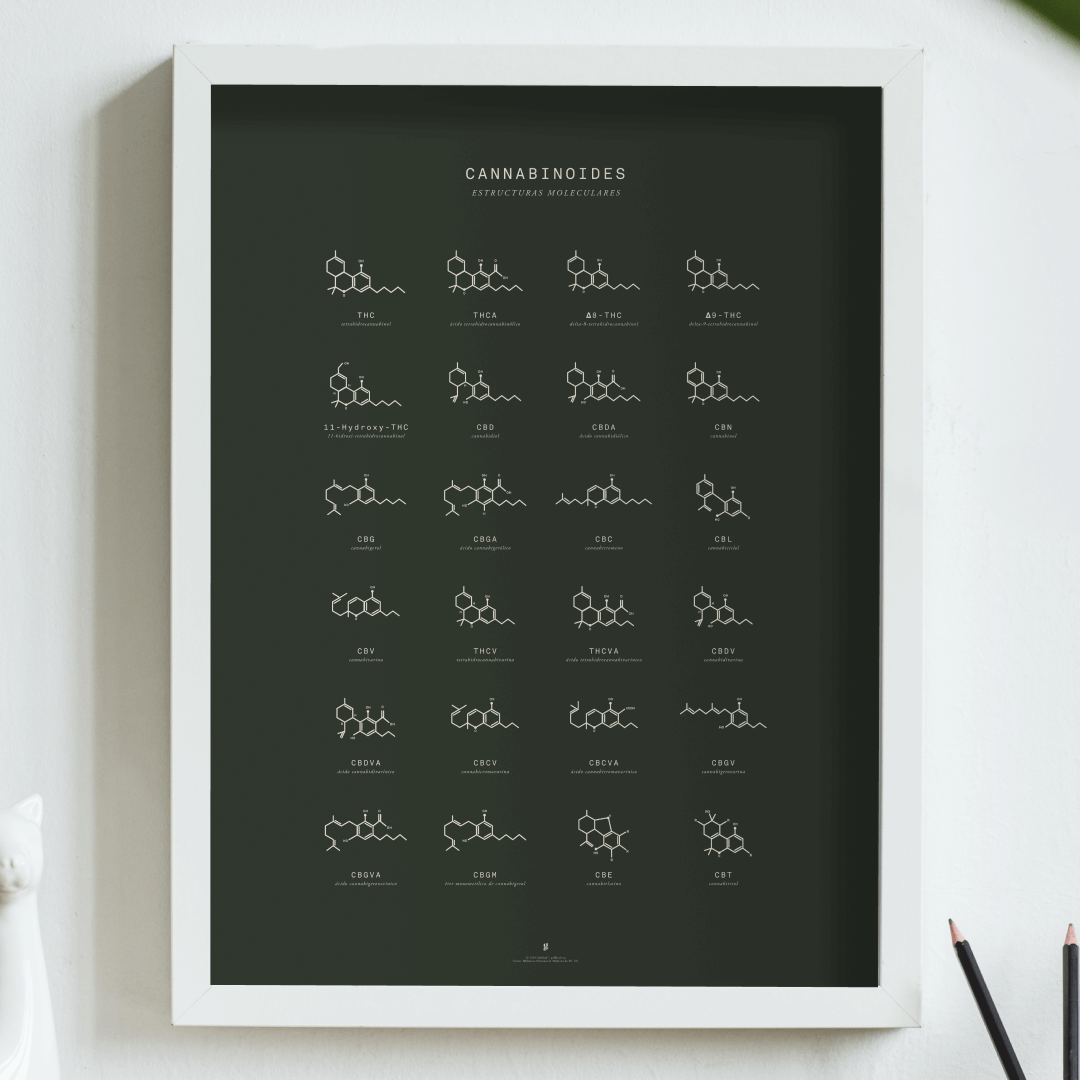 GoldLeaf Gráfico de Estructuras Moleculares de Cannabinoides