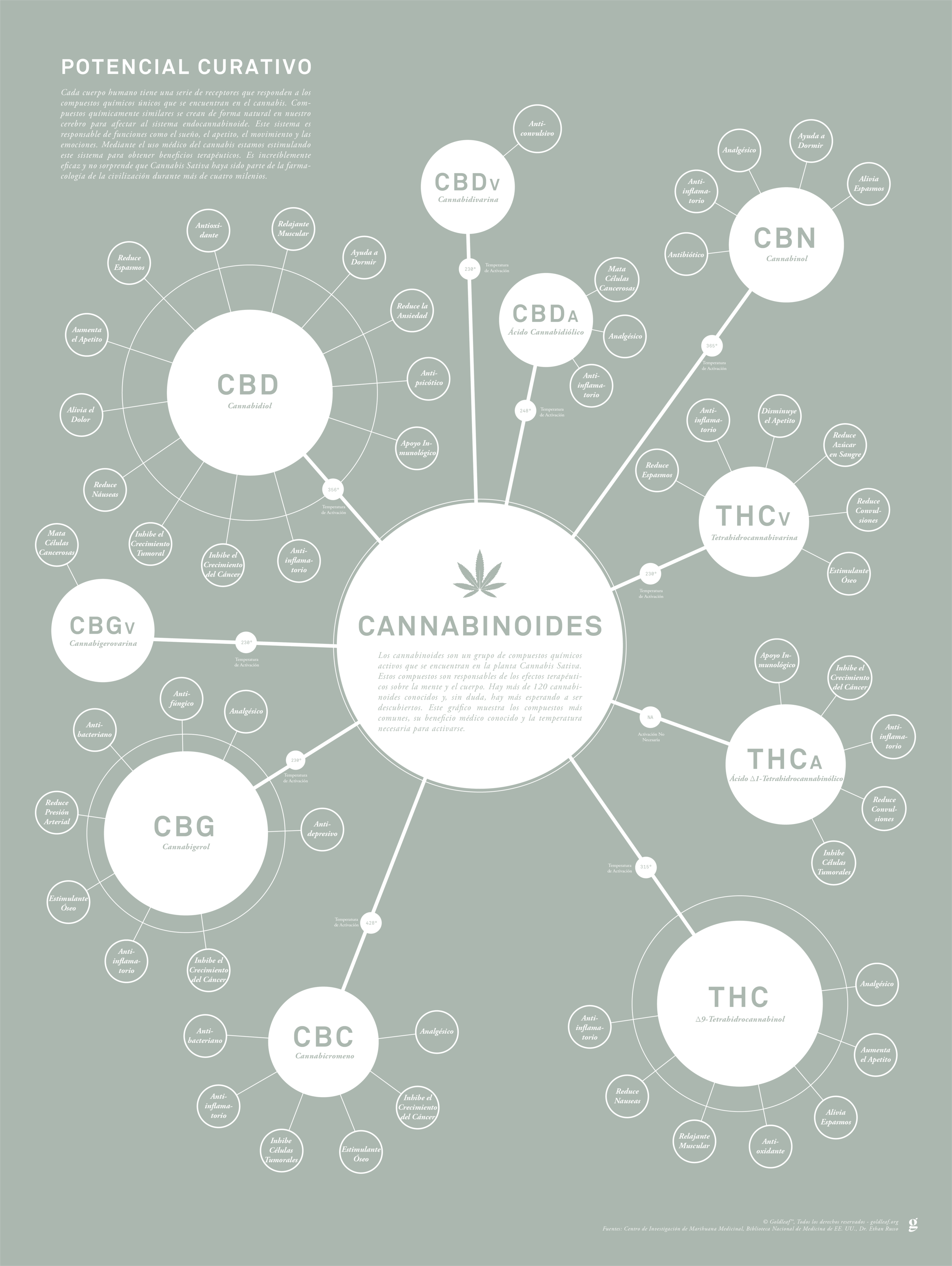 GoldLeaf Tabla de Cannabinoides Impresión en Español