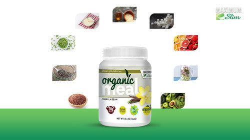 Maximum Slim Organic Fat Burning Meal - Vanilla Bean Best Price