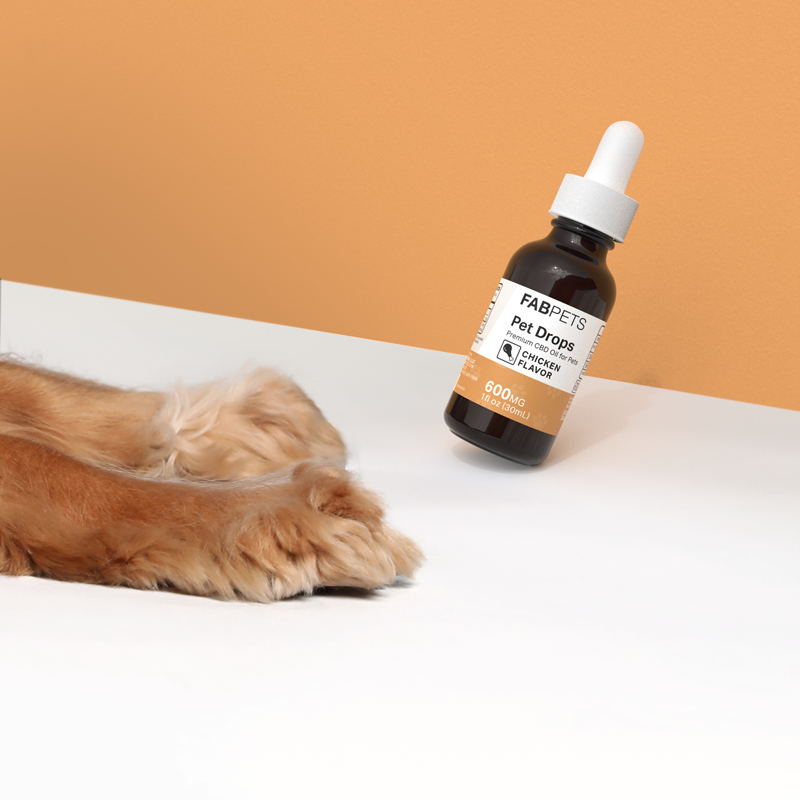FAB CBD Pet Wellness Bundle