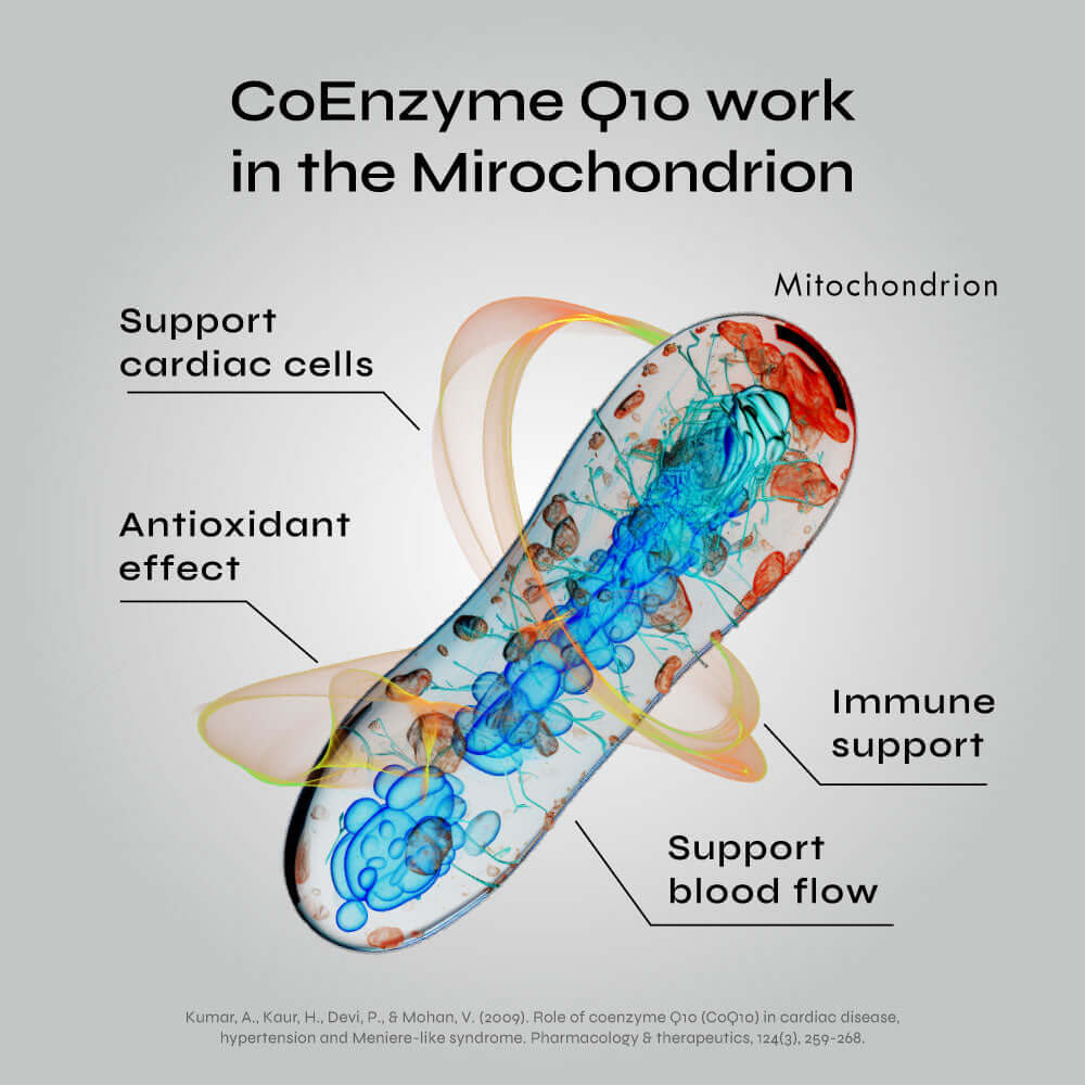 Neurogan Health CoEnzyme Q10 Capsules (CoQ10)