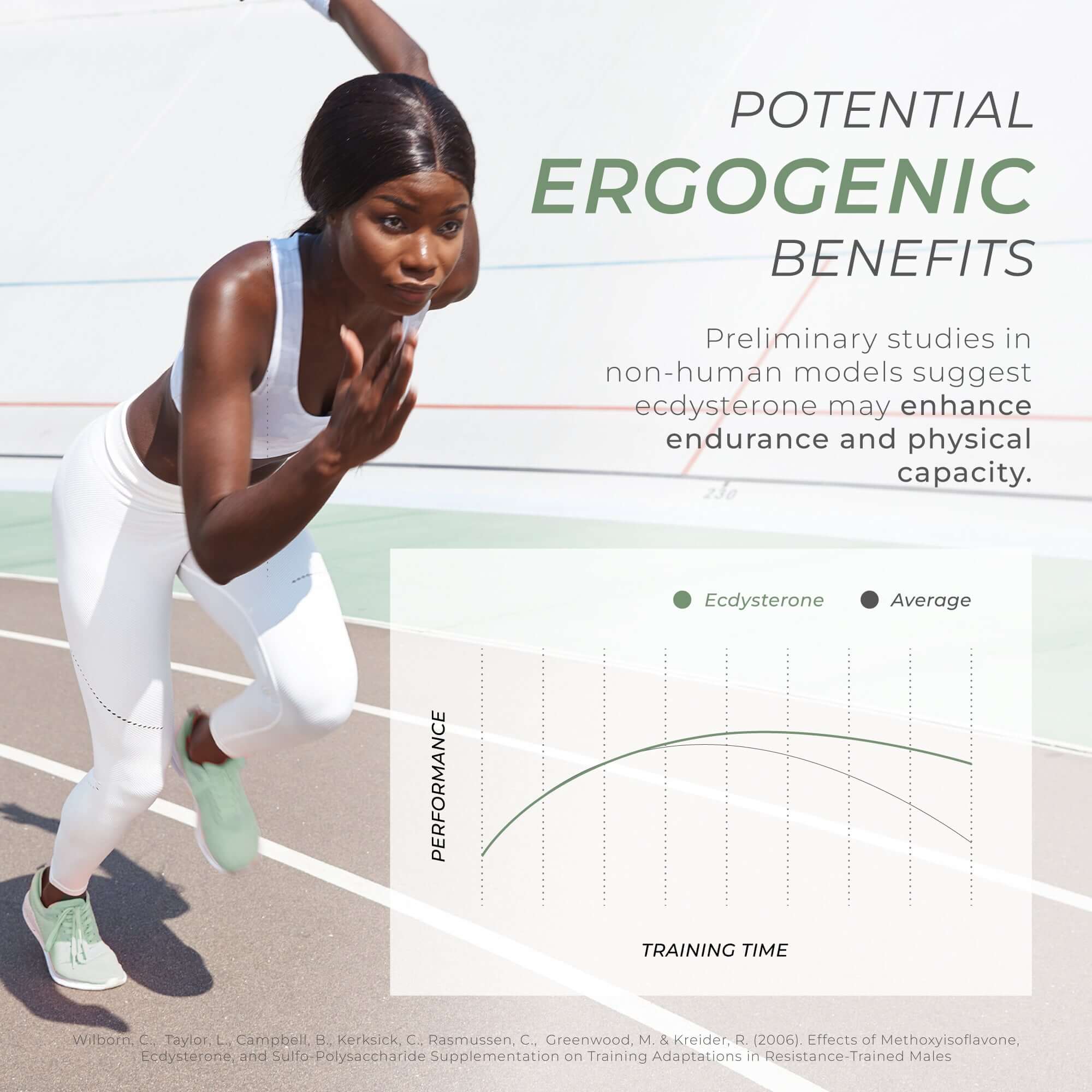 Neurogan Health Ecdysterone Supplement
