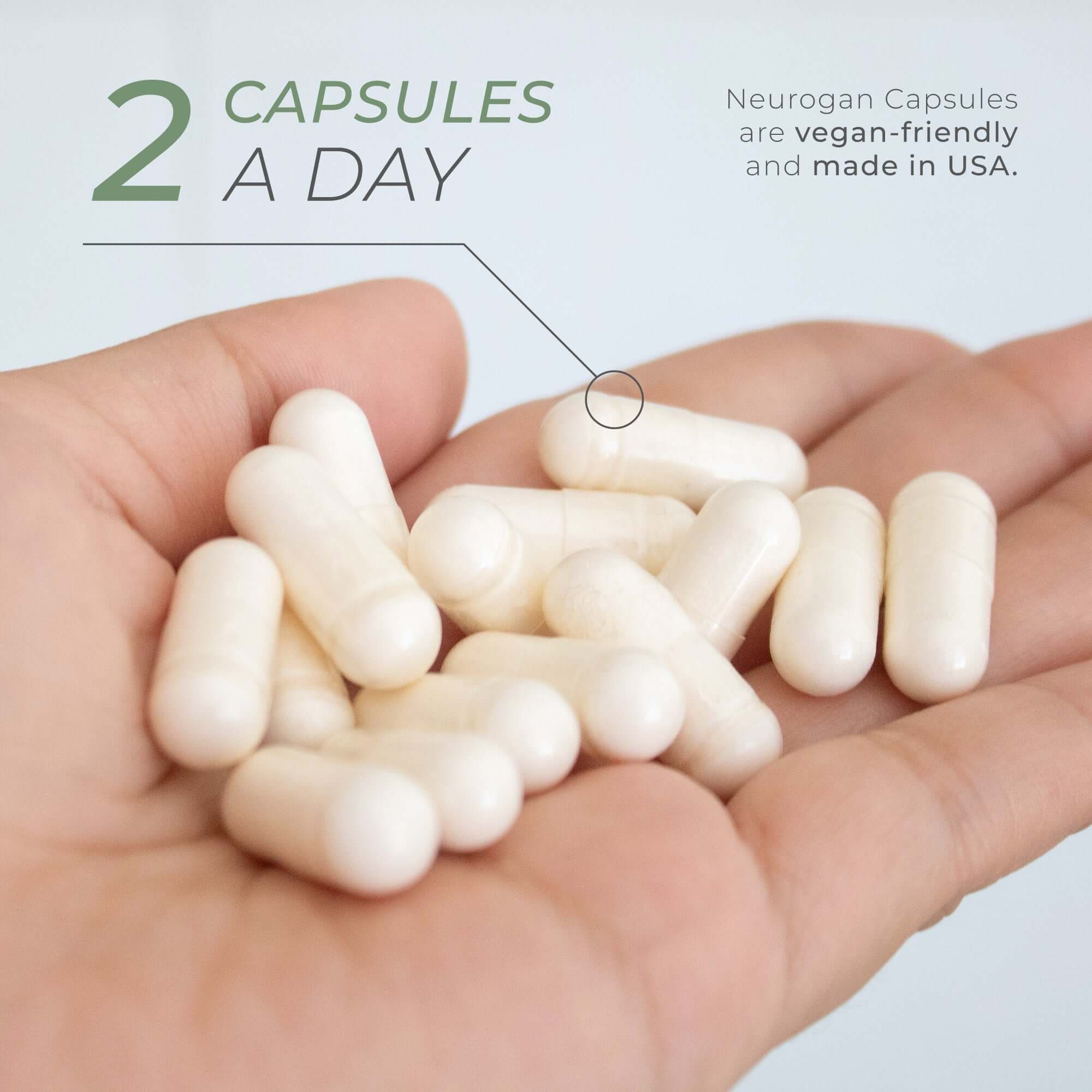 Neurogan Health Ecdysterone Supplement
