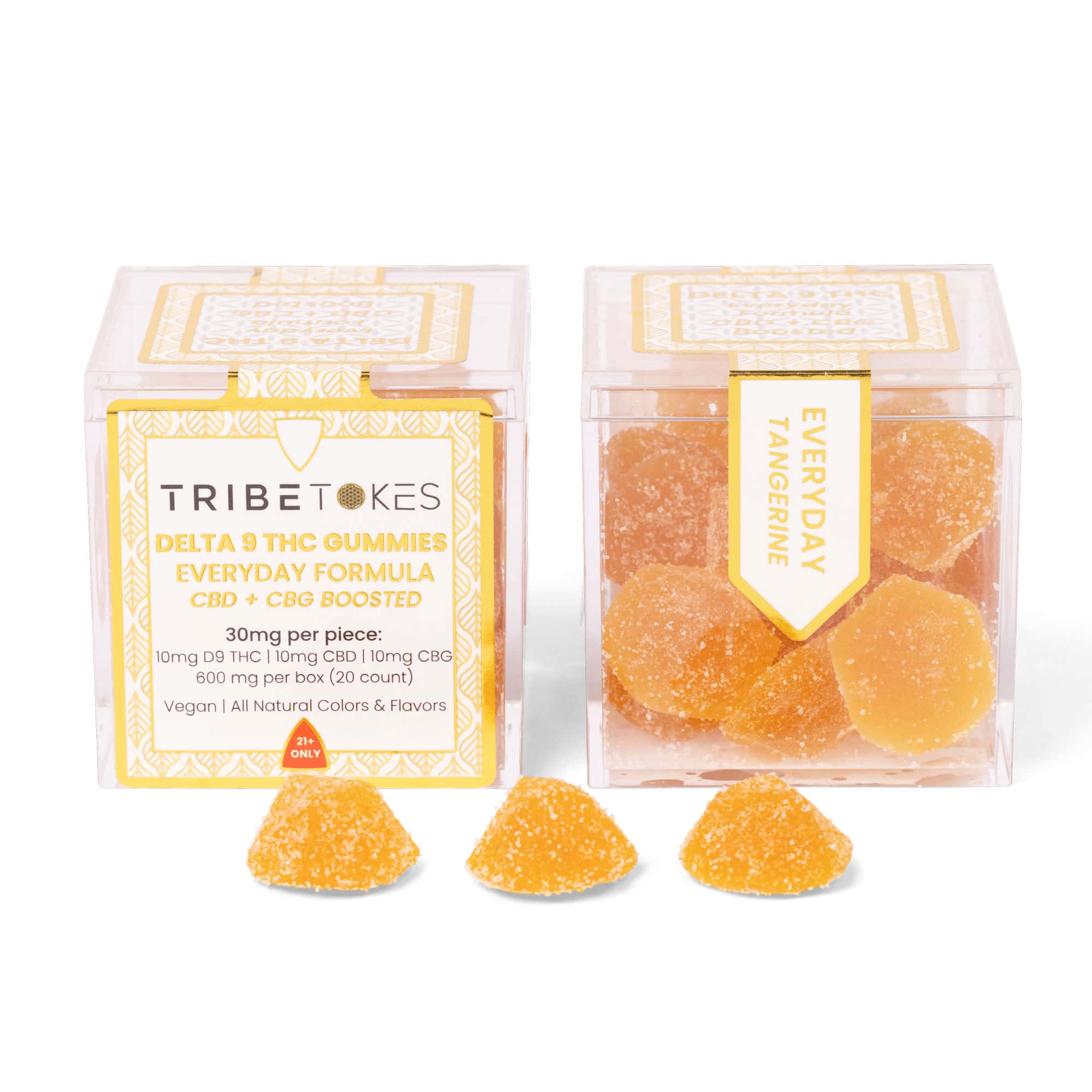 TribeTokes Everyday Balance THC Gummies | CBD + CBG Boosted | Tangerine