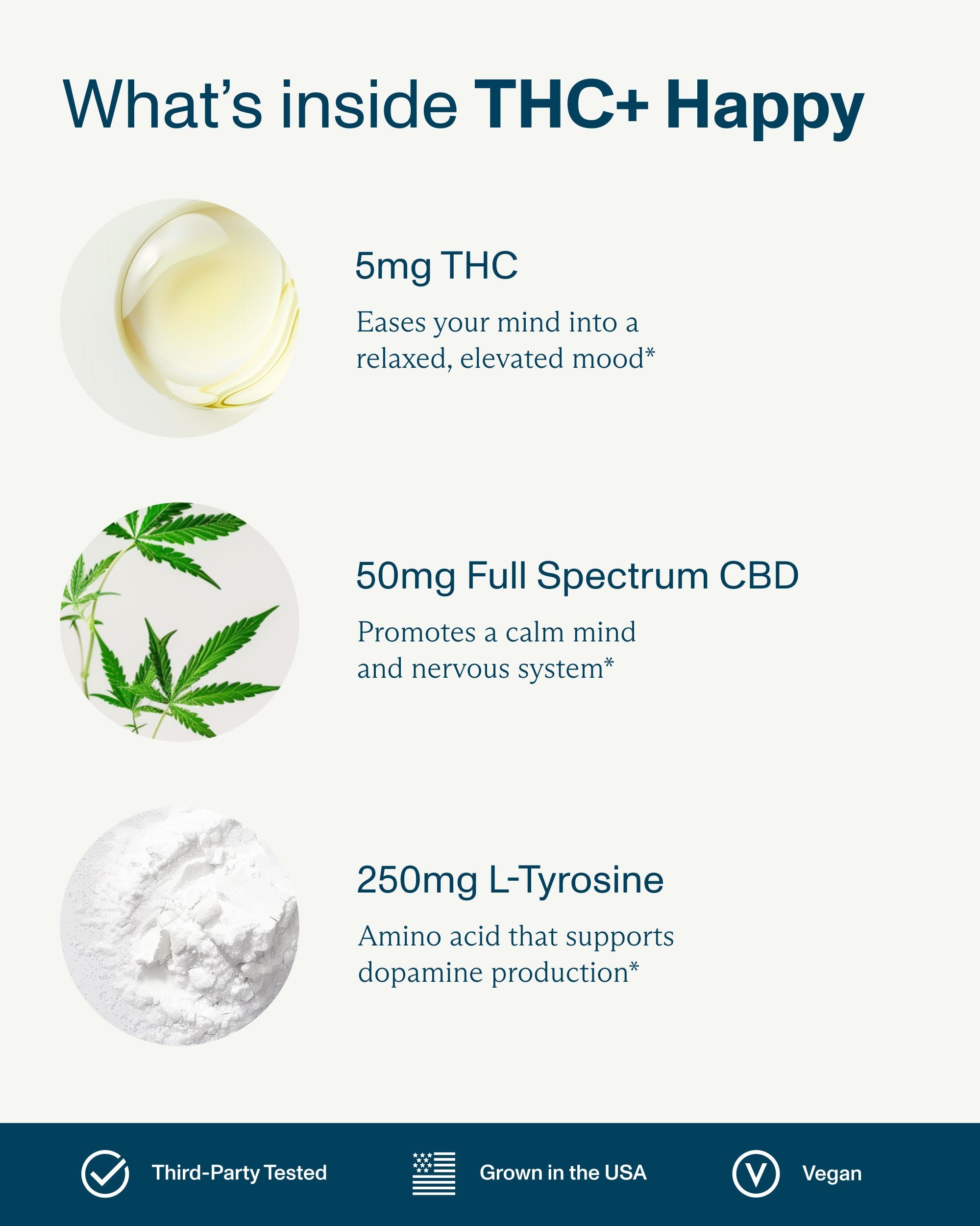 FOCL THC+ All-Day Variety Pack