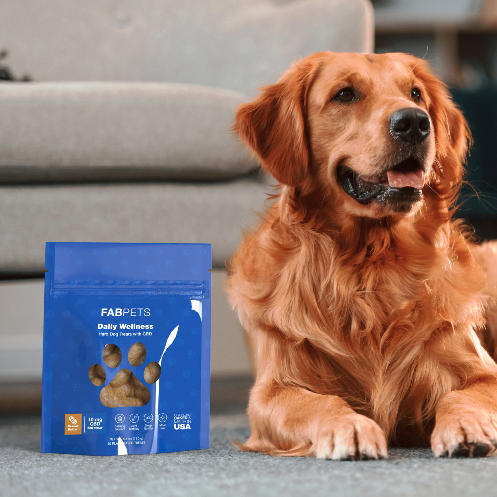 FAB CBD Hard Wellness Treats for Dogs