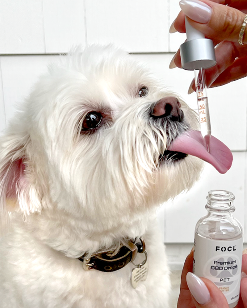 FOCL Pet Relief Drops