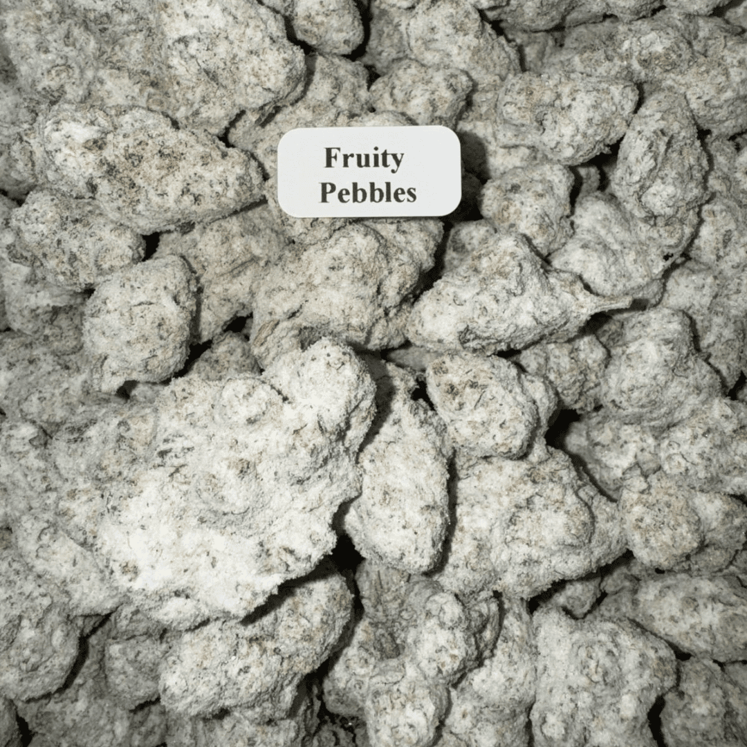 Bloomz THCA Snowballs – Gold Line Best Price