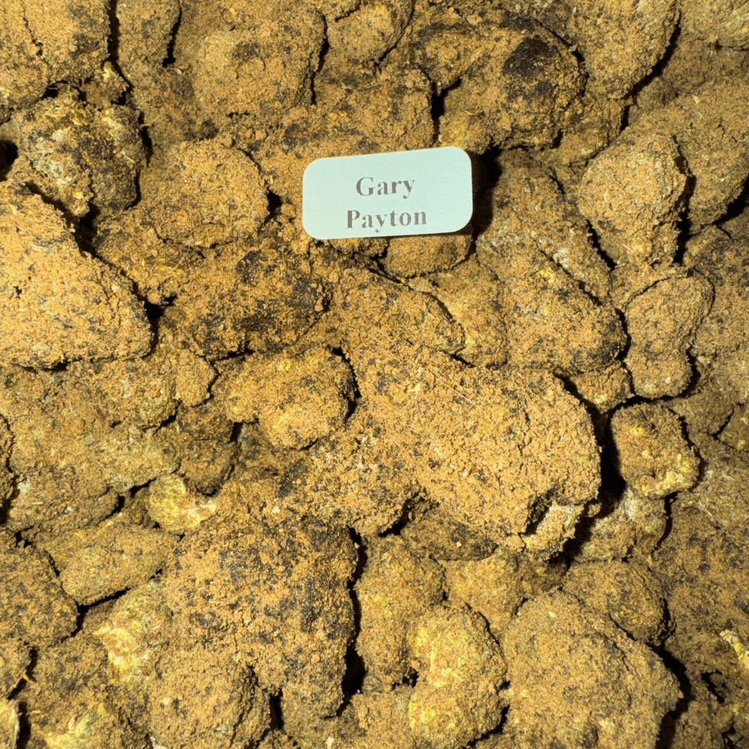 Bloomz THCA Moonrocks – Gold Line Best Price