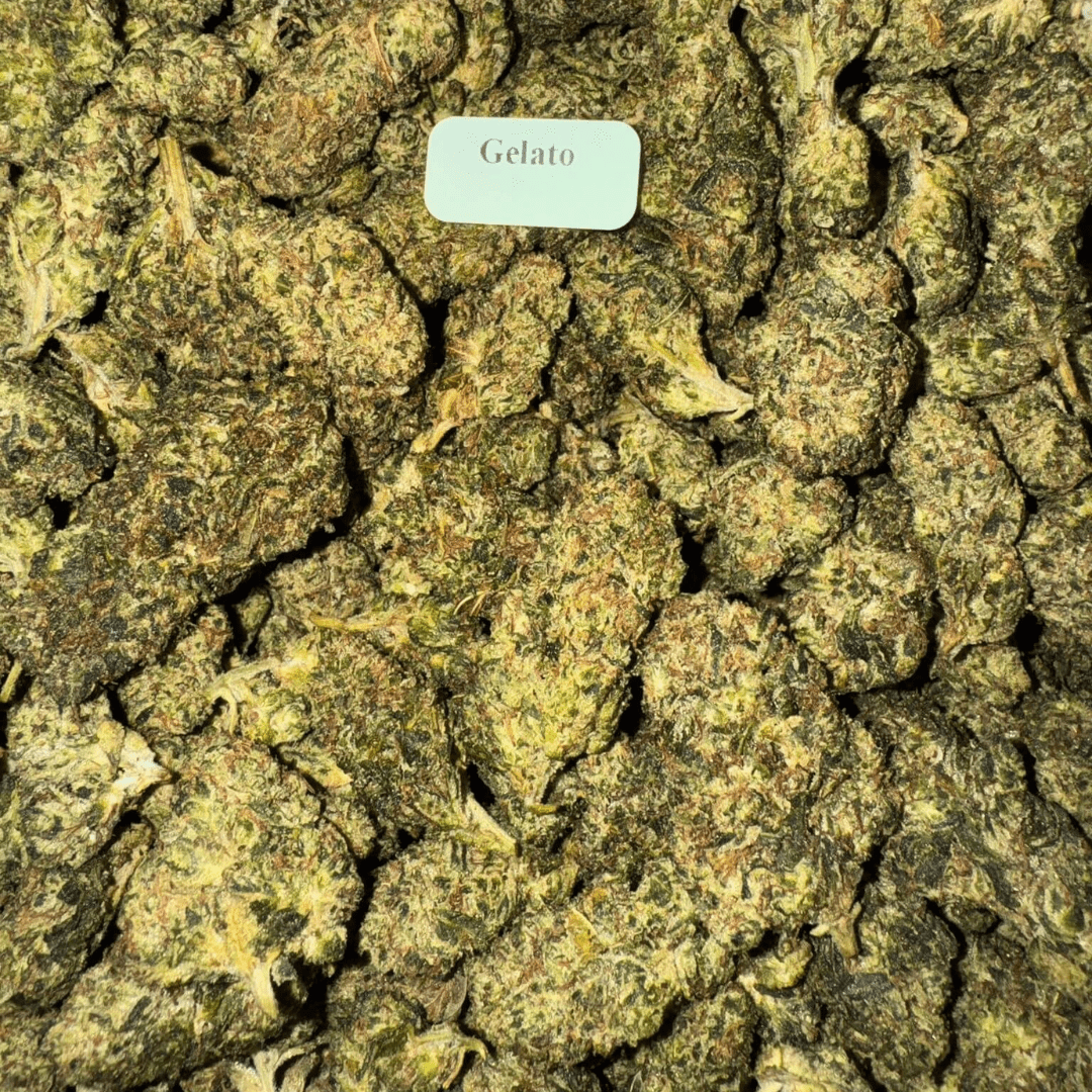Bloomz THCA + THC-P Flower Best Price