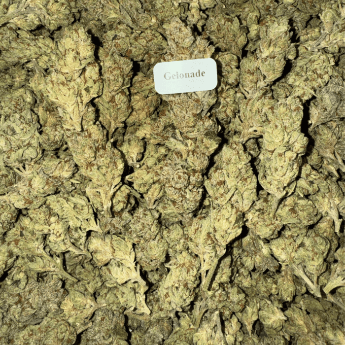 Bloomz THCA Flower Best Price