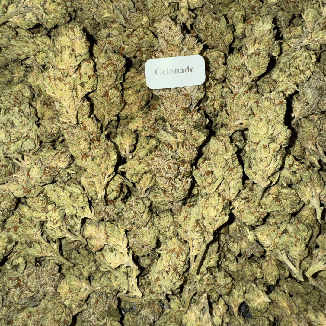 Bloomz THCA Flower Best Price